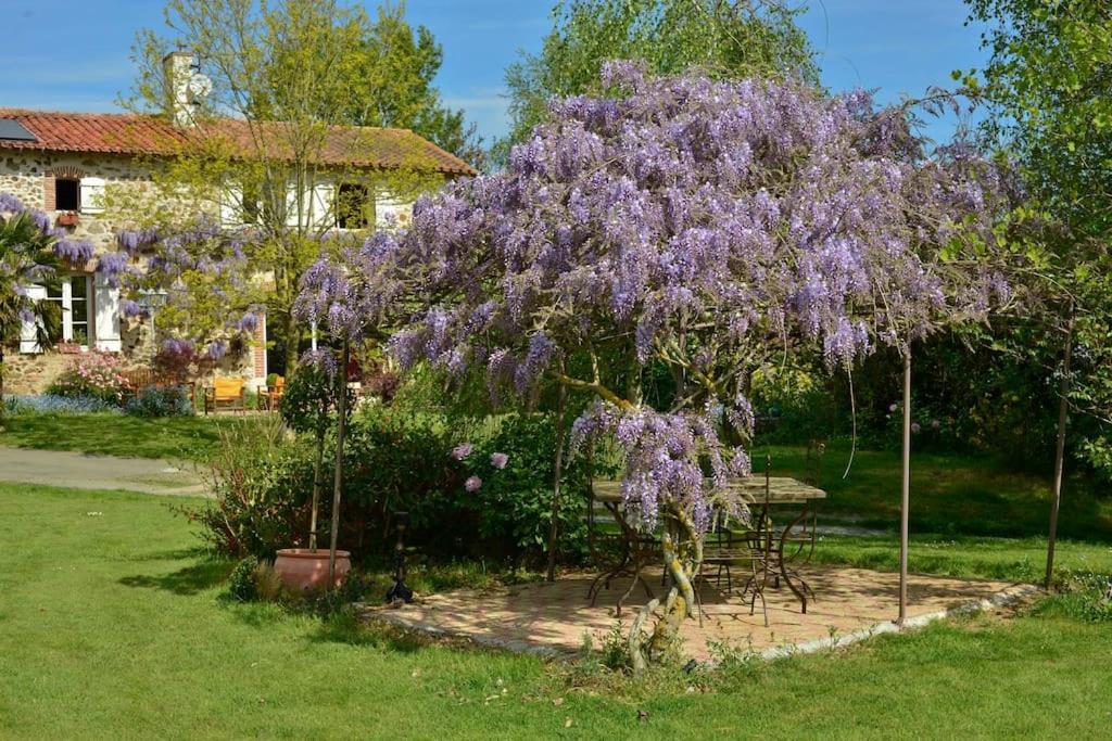 Bed and Breakfast La Frapperie La Pommeraie-sur-Sevre Экстерьер фото